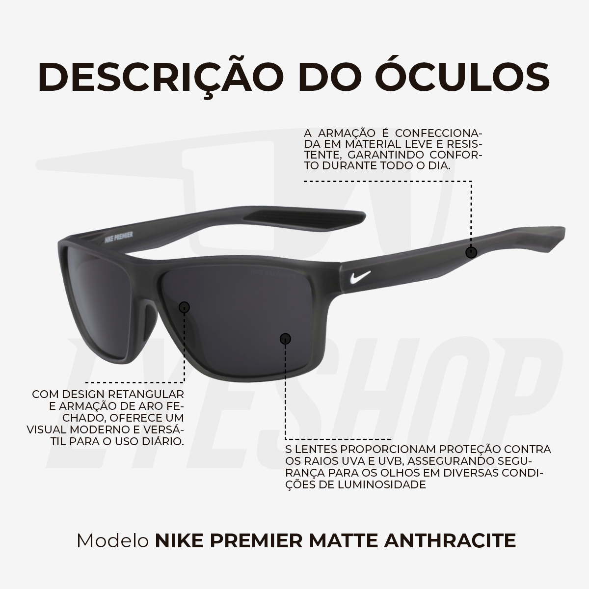 Óculos de Sol Nike Premier EV1071 Matte Anthracite/Dark Grey