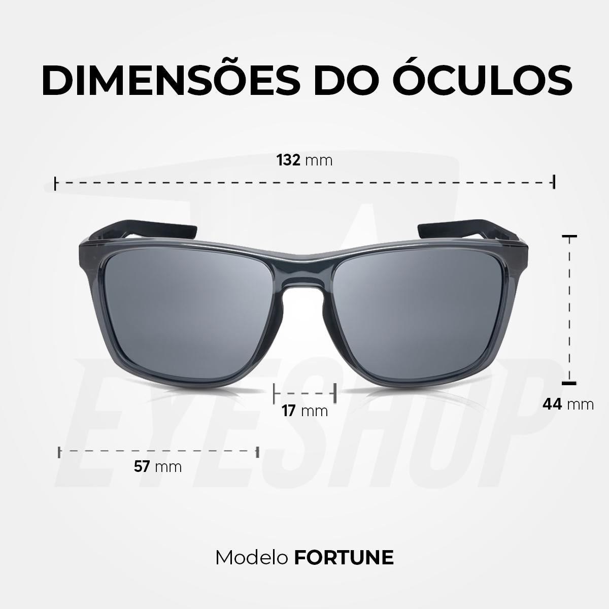 Óculos de Sol Nike Fortune FD1692 Dark Grey Silver Flash