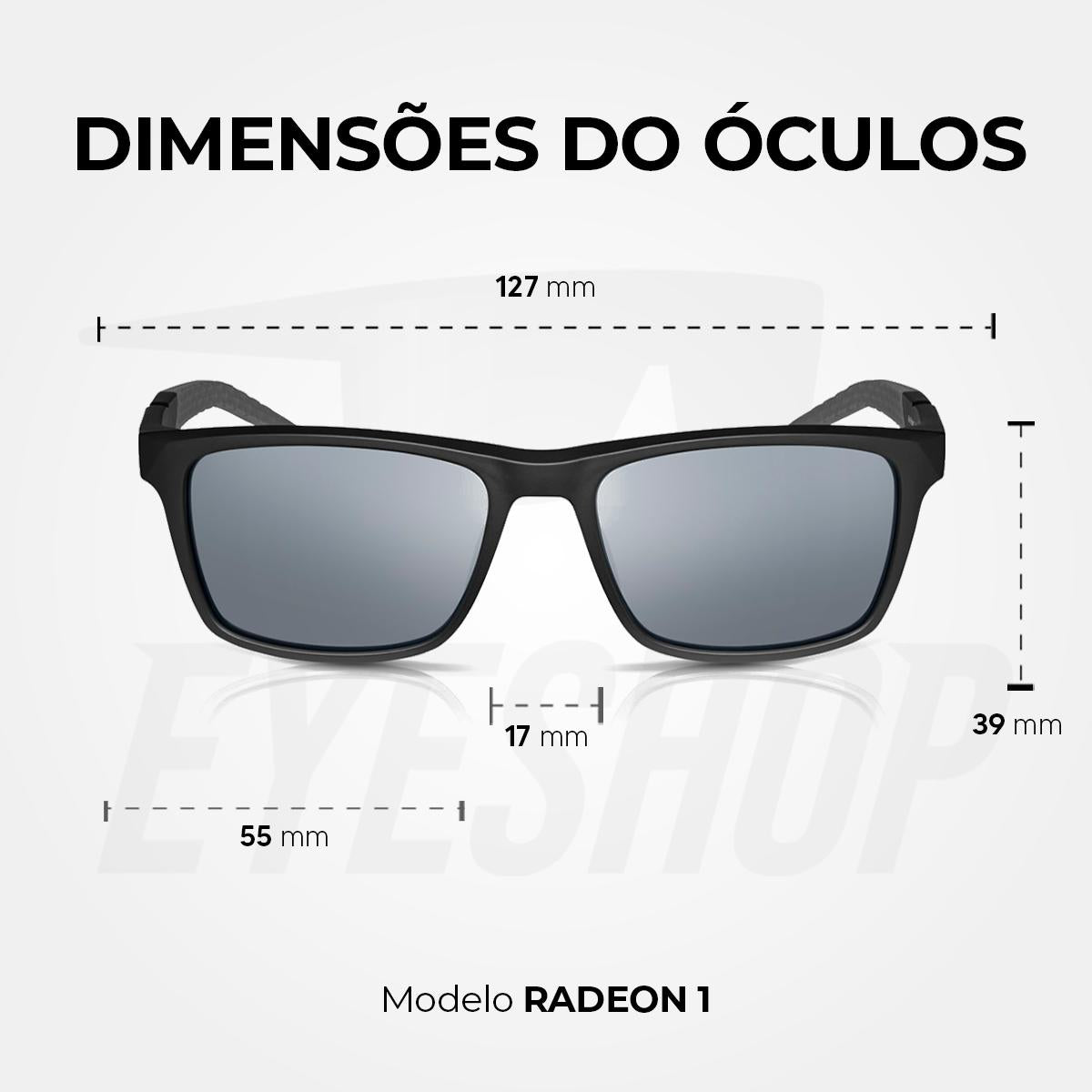 Óculos de Sol Nike Radeon 1 FV2402 Matte Black Silver Flash