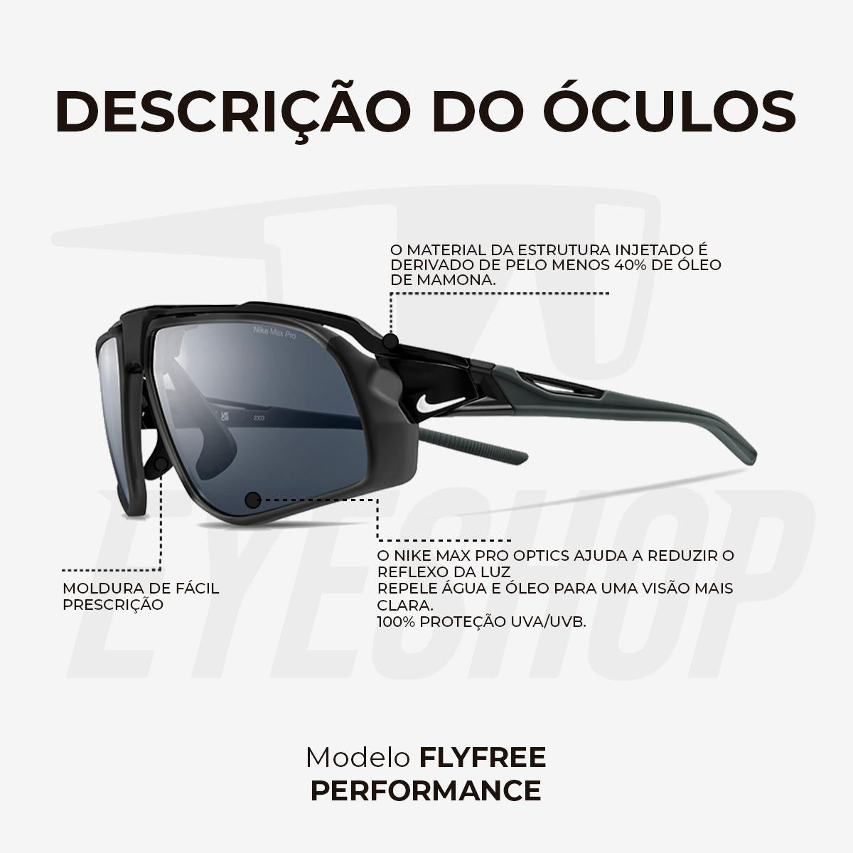 Óculos de Sol Nike Flyfree FV2387 Black Silver Flash